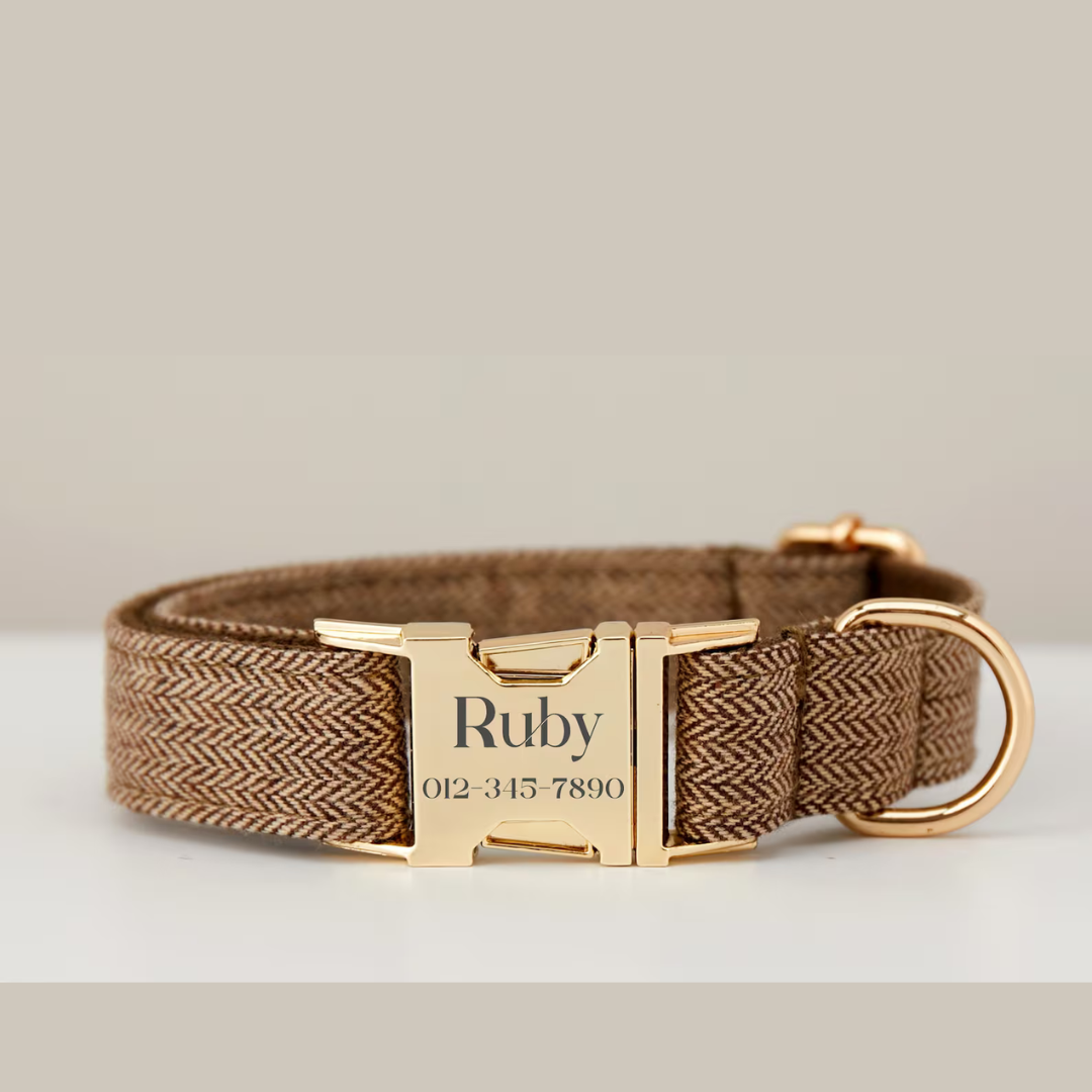 Envy dog collar best sale