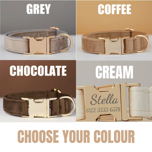 Personalised Luxury Velvet Dog Collars