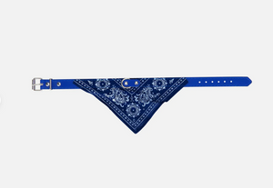 Royal Dog Collar Bandana