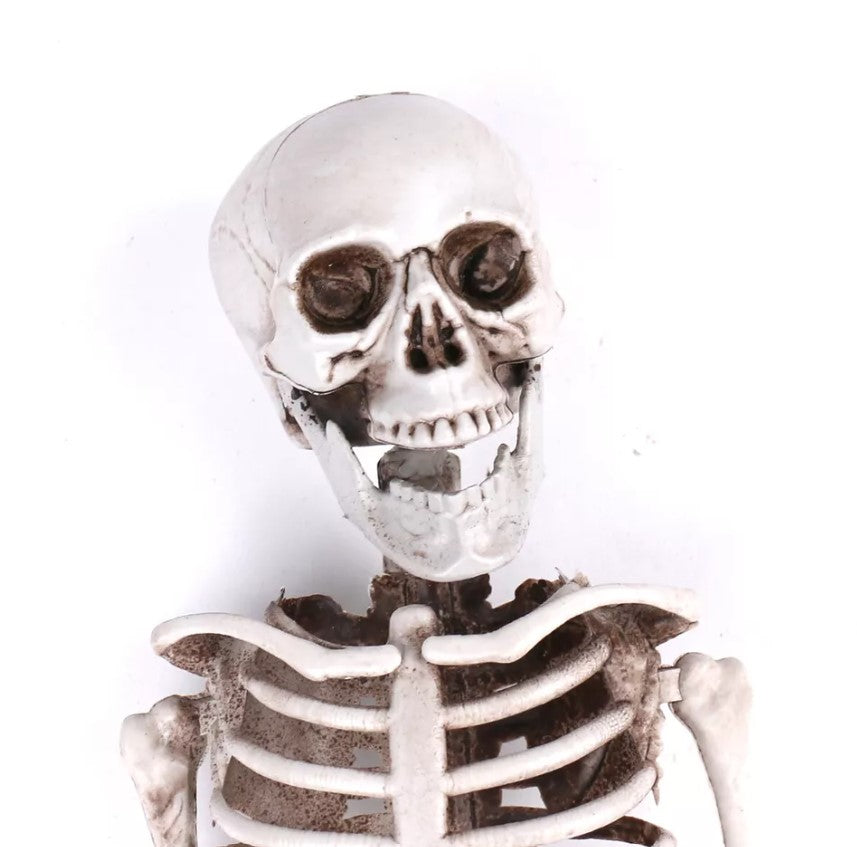 Life-Size Poseable Skeleton Prop for Halloween