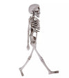 Life-Size Poseable Skeleton Prop for Halloween